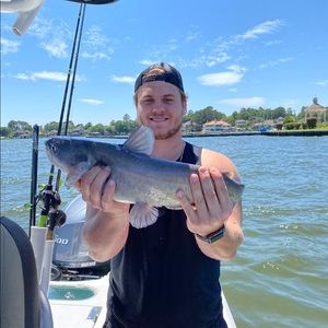 Meet your Posher, Cody